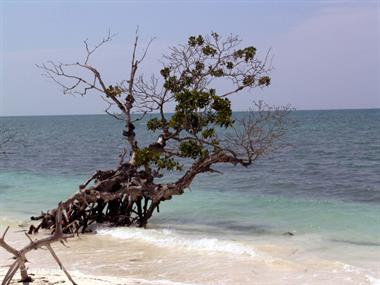 2004 Cuba, Cayo Levisa, DSC00699 B_B720